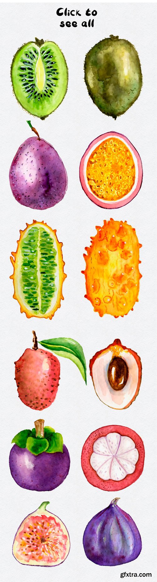 CM - Watercolor Tropical Fruits Clipart 1623924