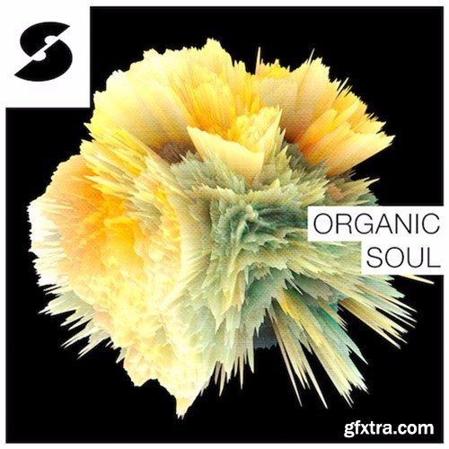 Samplephonics Organic Soul WAV-FANTASTiC