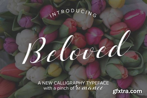 CreativeMarket Beloved Typeface 50% OFF Limited 1292797