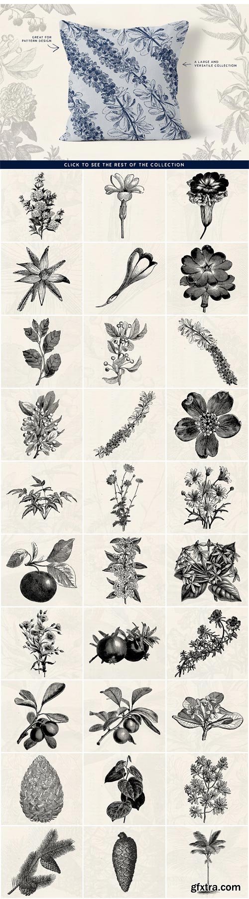 CM - 63 Fruit & Flower Illustrations 1624598