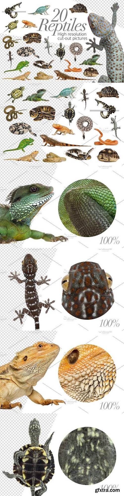 CM - 20 Reptiles - Cut-out Pictures 1333269