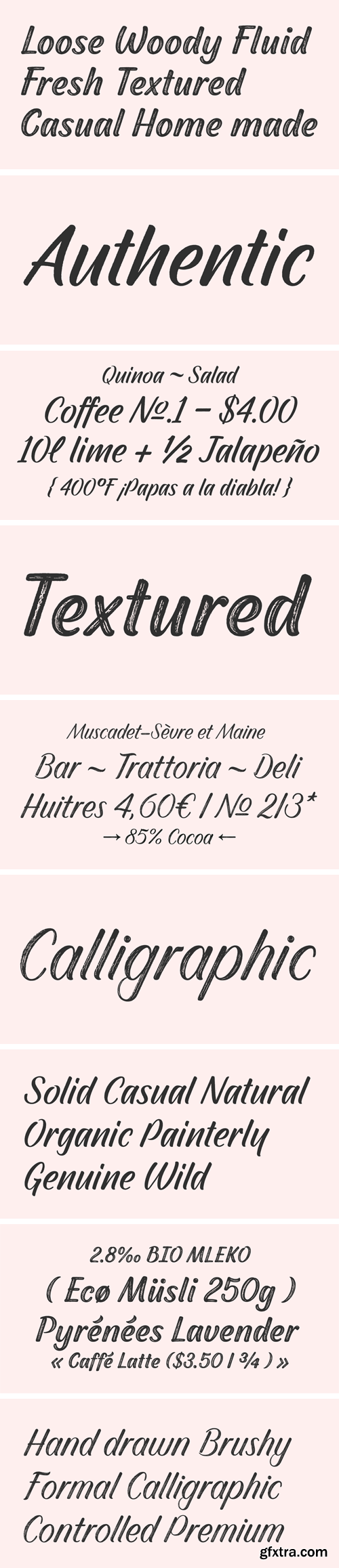 FS Shepton Font Family