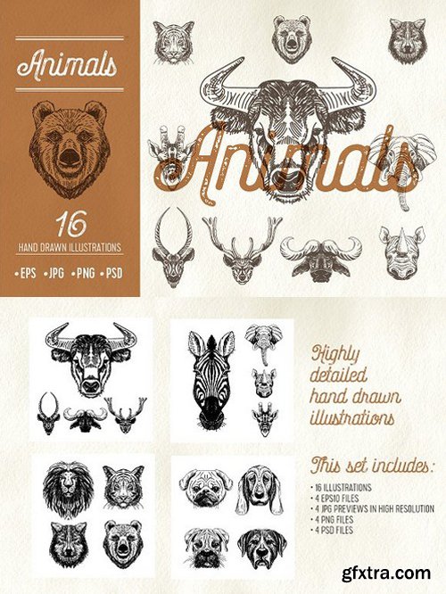 CM - 16 hand drawn animal heads 1616671