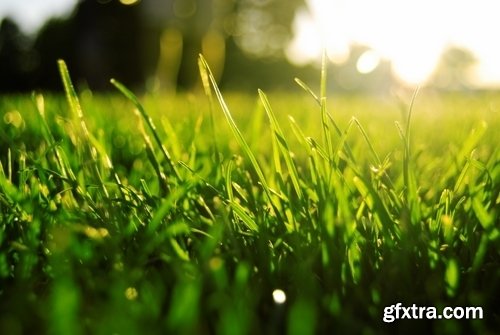 Lawn grass design 25 HQ Jpeg