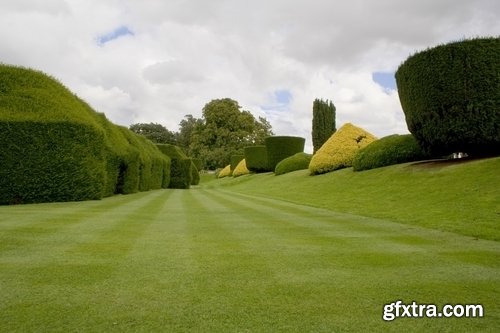 Lawn grass design 25 HQ Jpeg