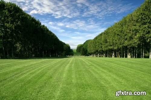 Lawn grass design 25 HQ Jpeg