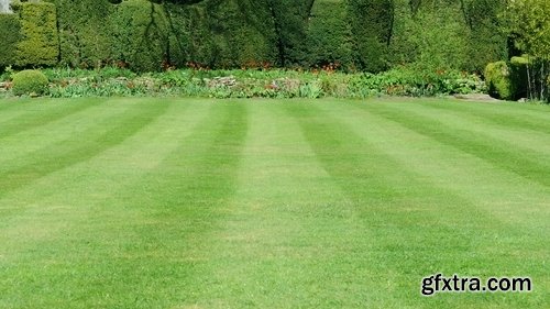 Lawn grass design 25 HQ Jpeg