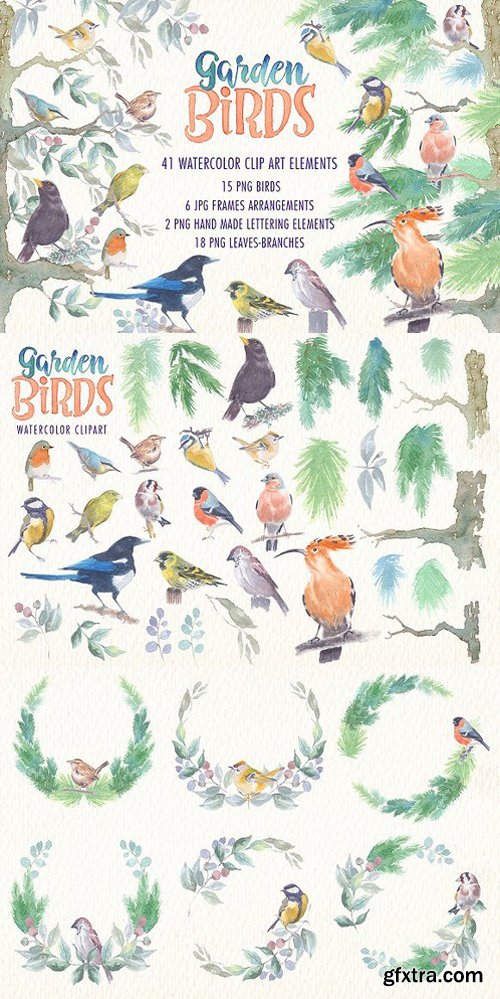 CM - Garden birds watercolor clipart 1632390