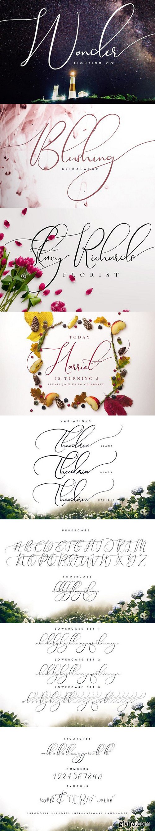 CM - Theodoria Script Font 1662727