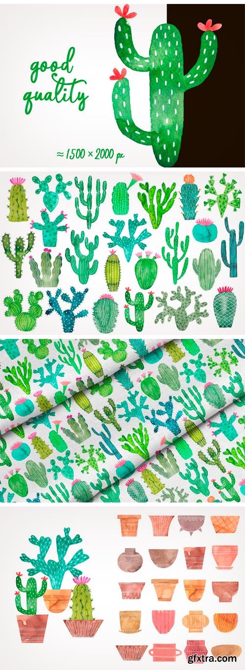 CM - Watercolor Cactus 1642718