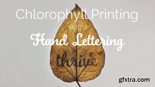 Chlorophyll Printing with Hand Lettering: an alternative photography mashup