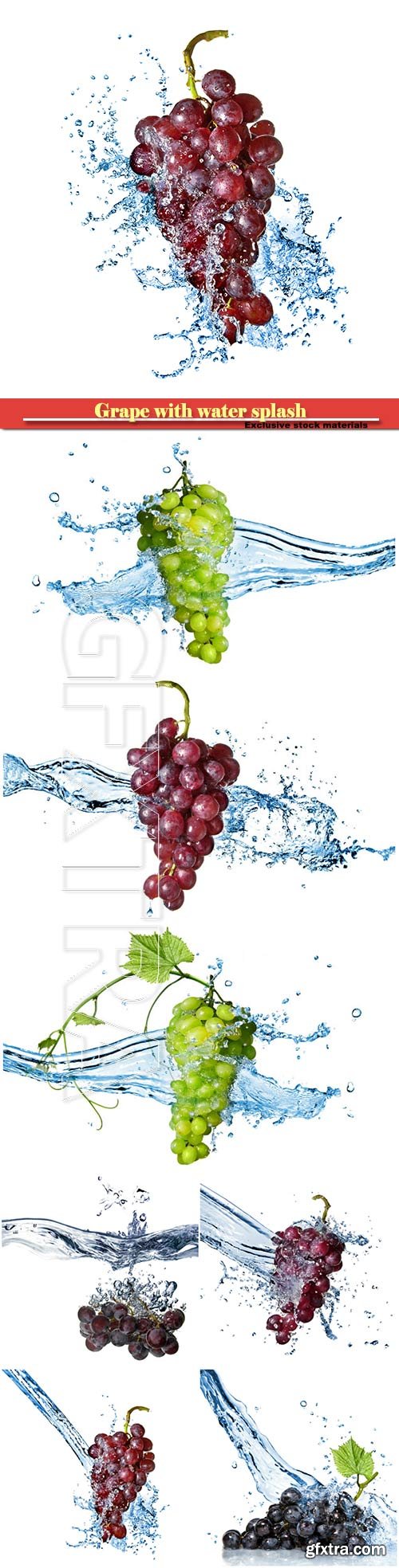 Grape with water splash isolated on white background