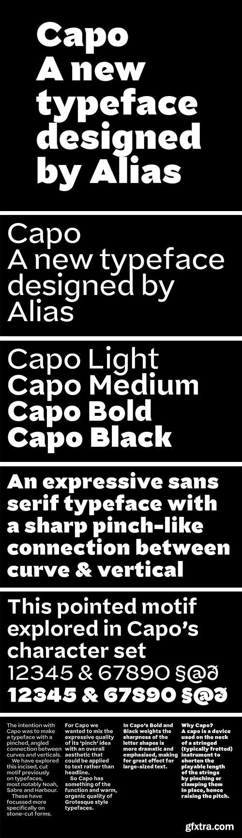 Capo Font Family