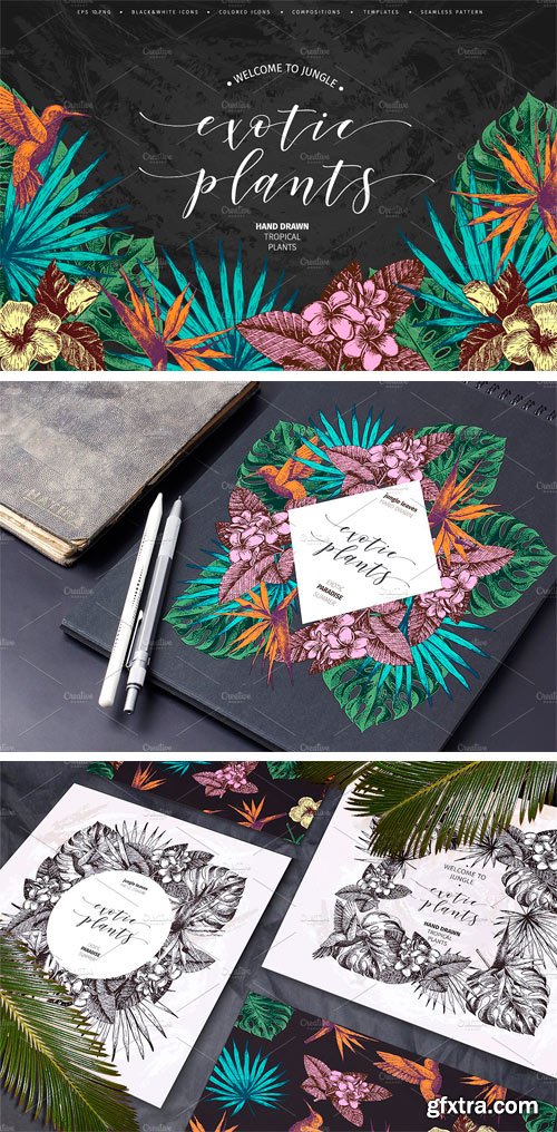 CM - Hand Drawn Tropical Plants 1604009