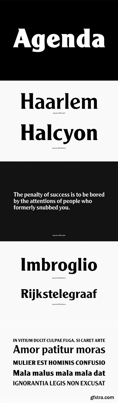 Agenda URW Font Family $118