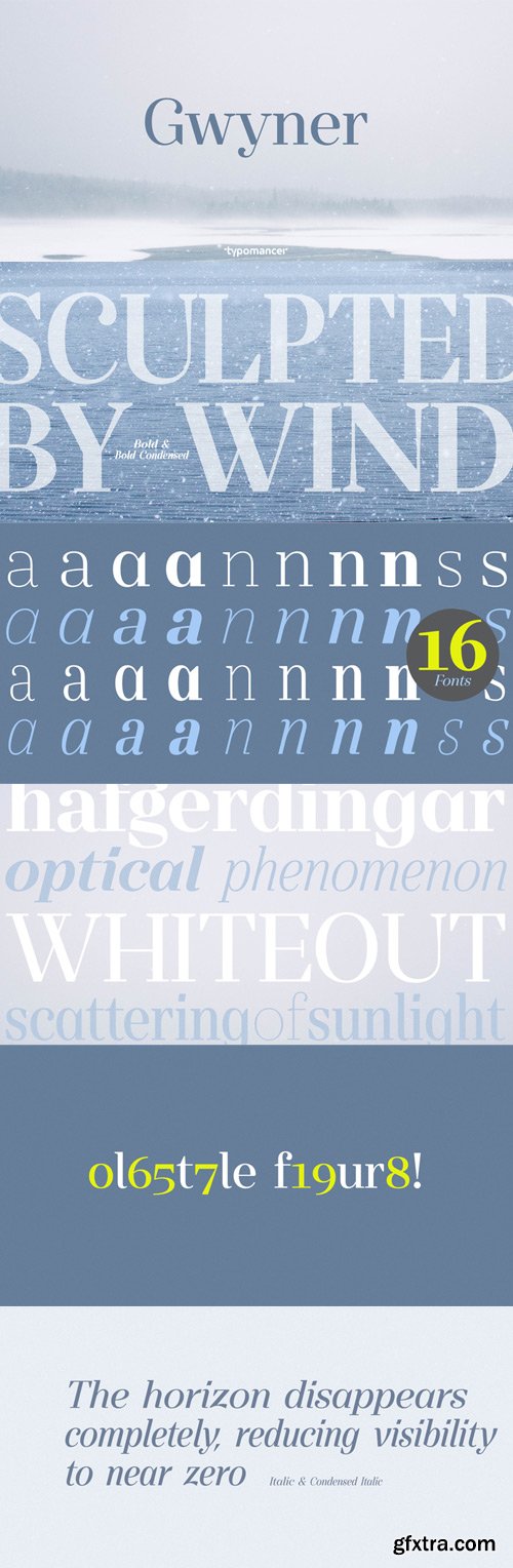 Gwyner Font Family $190