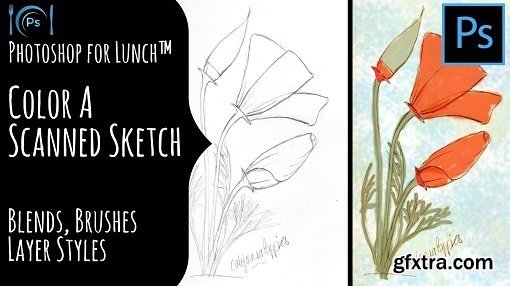 Photoshop for Lunch™ - Color a Scanned Sketch - Blends, Brushes, Layer Styles