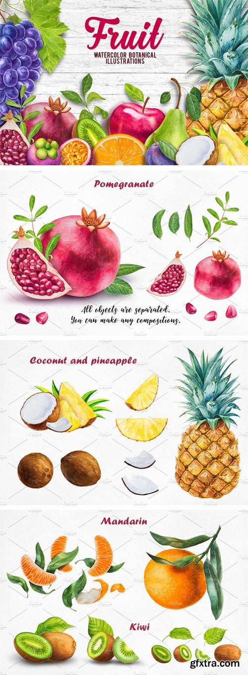 CM - Watercolor Fruits Collection 1657955