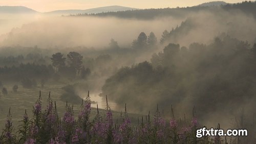 Misty River Valley In The Early Summer Morning Landscape