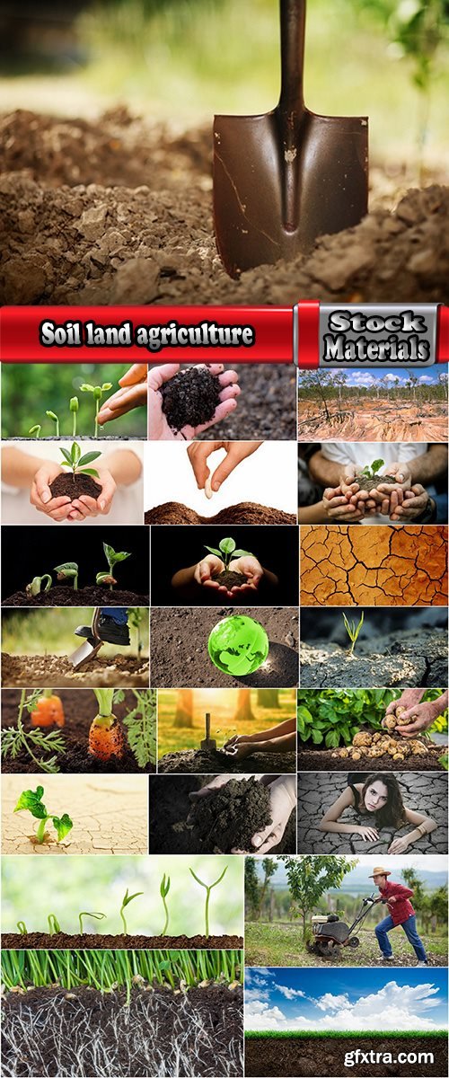 Soil land agriculture plant sprout shoot 25 HQ Jpeg