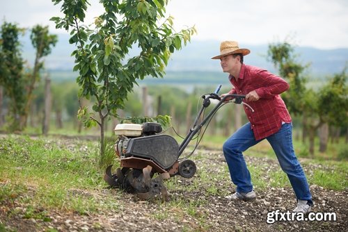 Soil land agriculture plant sprout shoot 25 HQ Jpeg