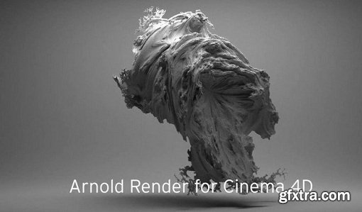 Solid Angle Cinema4D To Arnold 2.0.3.3 For Cinema4D R16/R17/R18