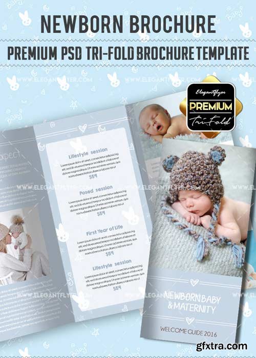 Newborn V5 Premium Tri-Fold PSD Brochure Template