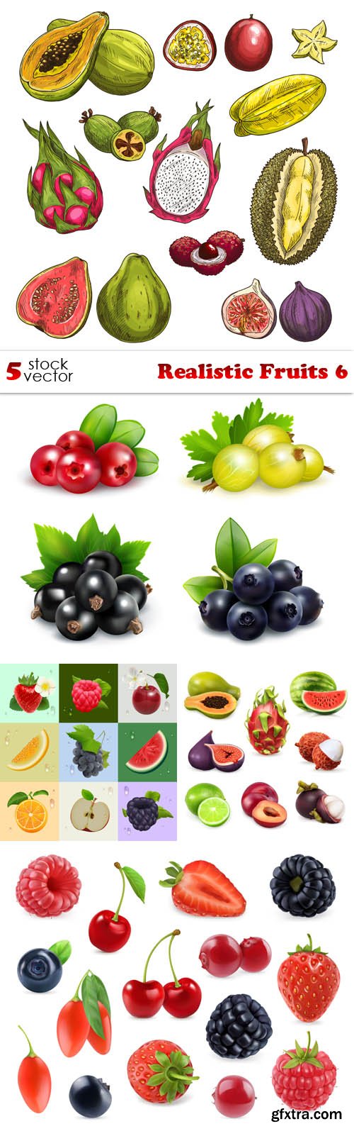 Vectors - Realistic Fruits 6