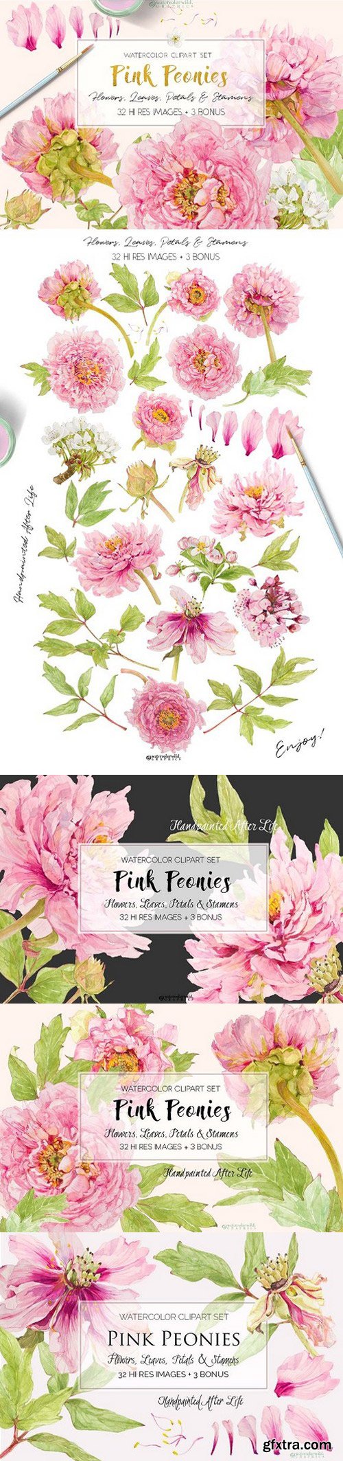 CM - Pink Peonies-Clipart Set 1518921