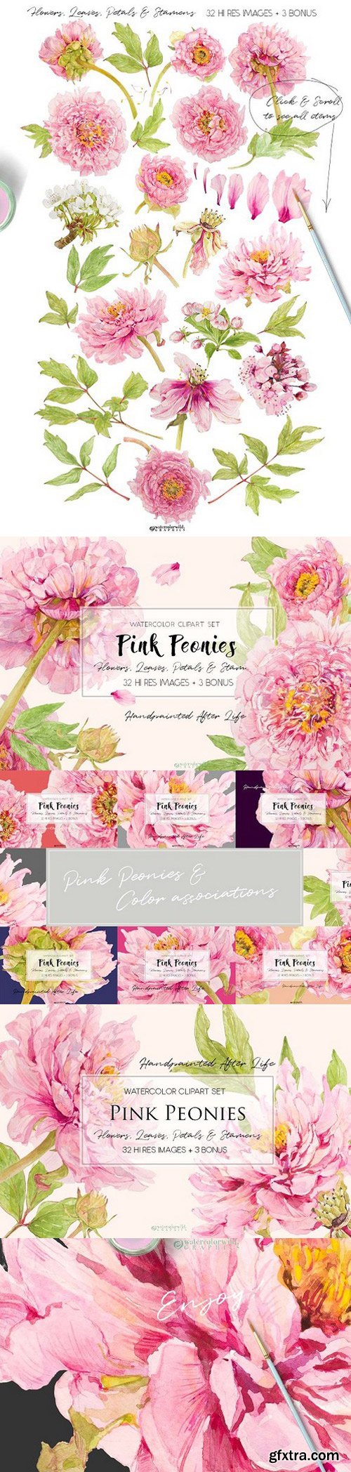 CM - Pink Peonies-Clipart Set 1518921