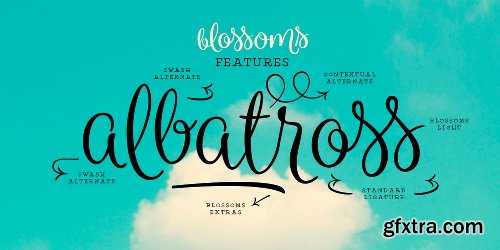 Blossoms Font Family