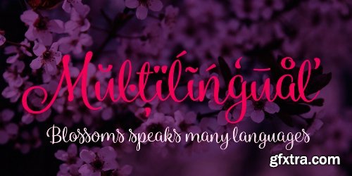 Blossoms Font Family