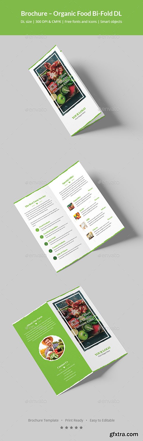 Graphicriver - Brochure – Organic Food Bi-Fold DL 20442581