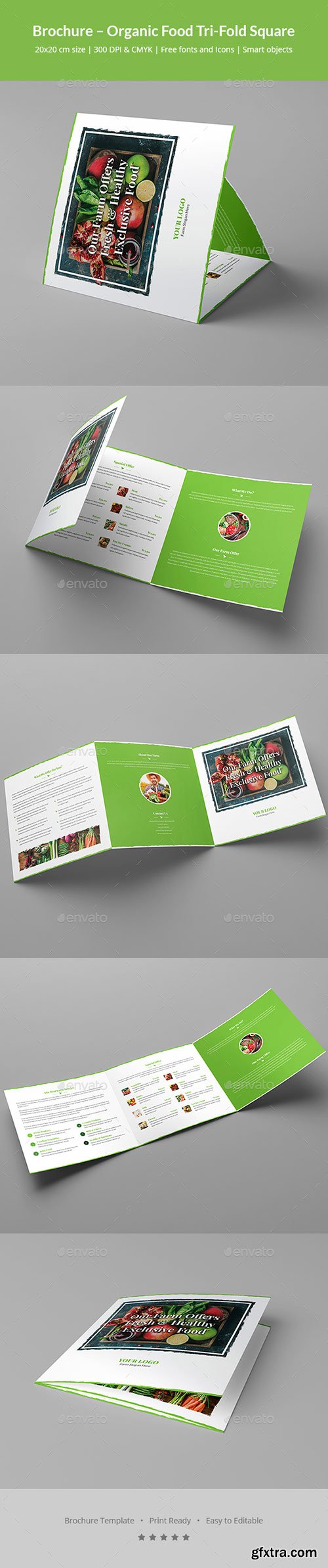 Graphicriver - Brochure – Organic Food Tri-Fold Square 20445155