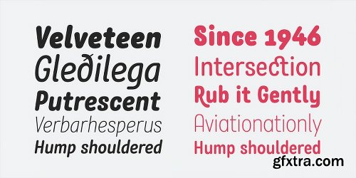 Rolade Font Family - 12 Fonts