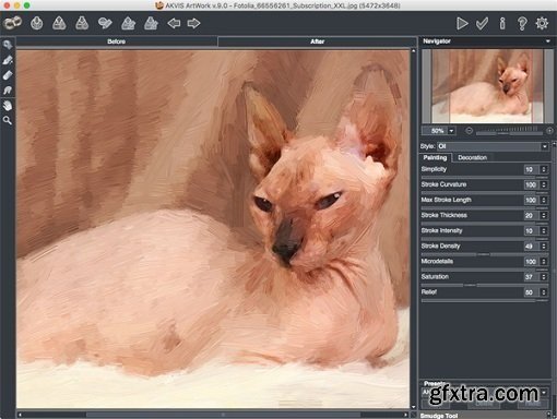 AKVIS Artwork v9.0.1832.13048 (Standalone and PS Plugin) (Mac OS X)