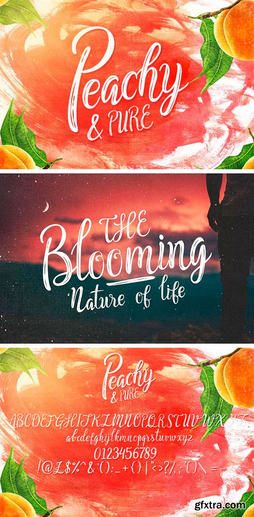 CM - Peachy & Pure - Typeface 1689788