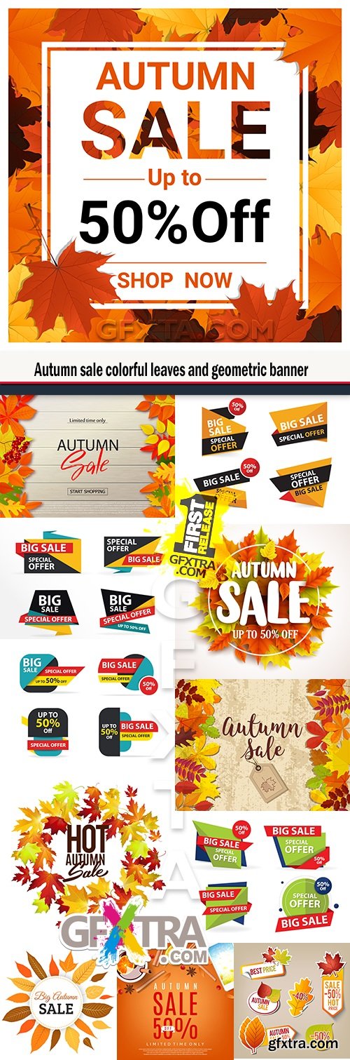 Autumn sale colorful leaves and geometric banner