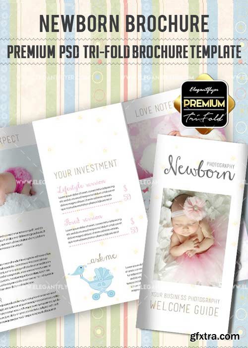 Newborn V8 Premium Tri-Fold PSD Brochure Template