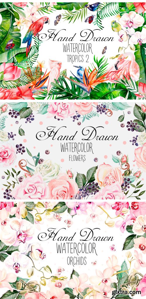 CM - Hand Drawn Watercolor BUNDLE 4 1668274