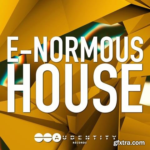 Audentity Records E-Normous House MULTiFORMAT-LiRS