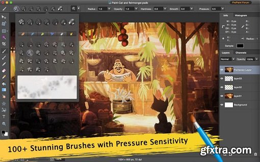 Pro Paint 3.2.3 (Mac OS X)