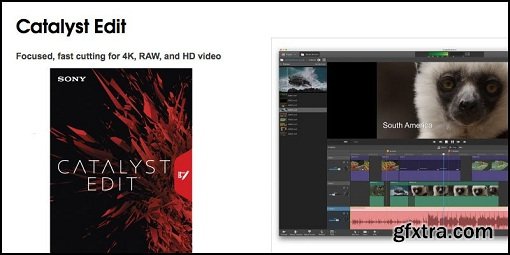 Sony Catalyst Edit 2017.2.0.273 CE