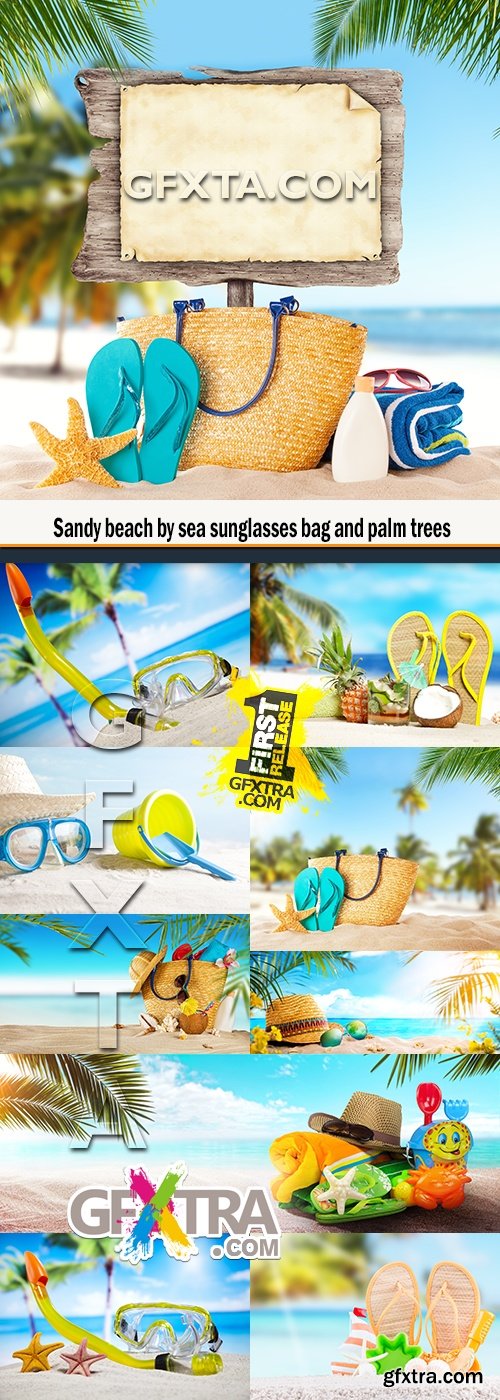 Sandy beach by sea sunglasses bag and palm trees