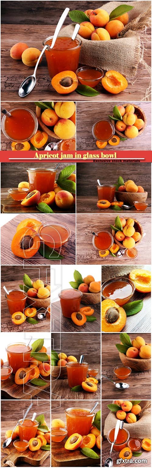 Apricot jam in glass bowl with fruit around