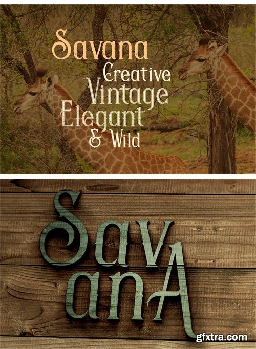 CM - Savana - Display Font 1723797