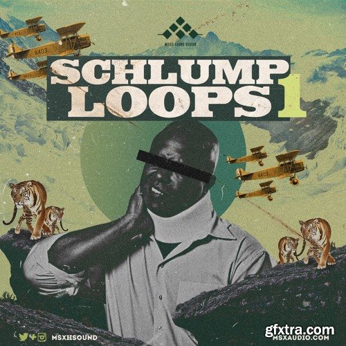 MSXII Sound Design Schlump Loops 1 WAV-DISCOVER