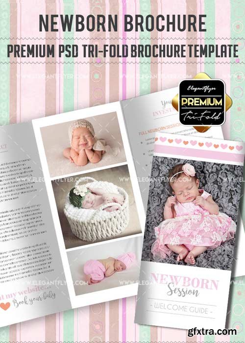 Newborn V13 Premium Tri-Fold PSD Brochure Template