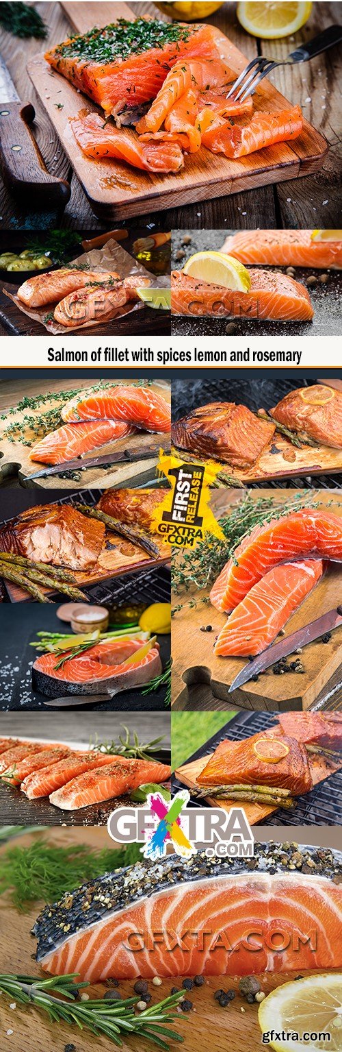 Salmon of fillet with spices lemon and rosemary