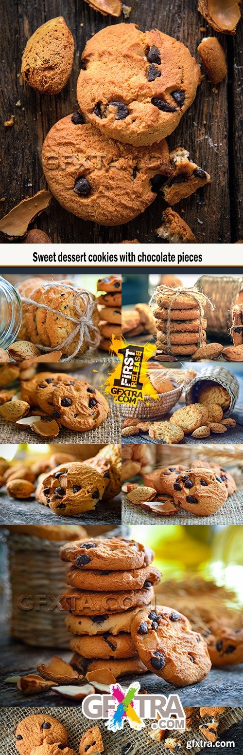 Sweet dessert cookies with chocolate pieces